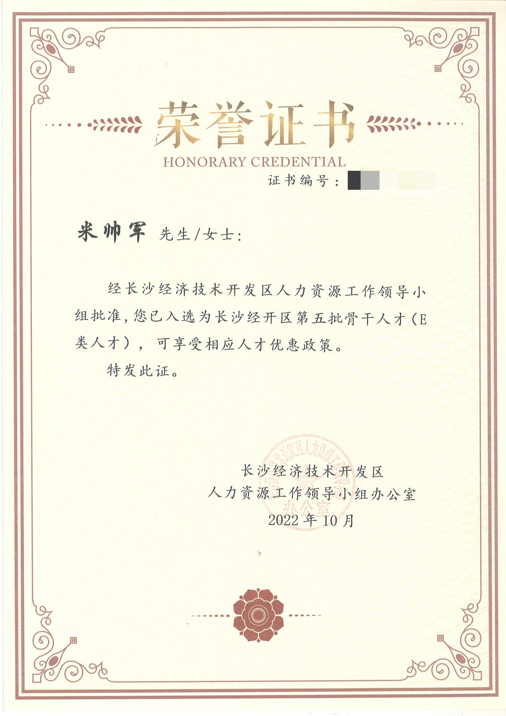 长沙经开区第五批骨干人才（E类人才）荣誉证书（证书编号已脱敏）